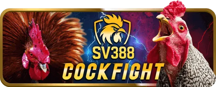 Live Blackjack